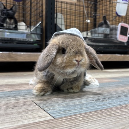 IMG_8797 - コピー