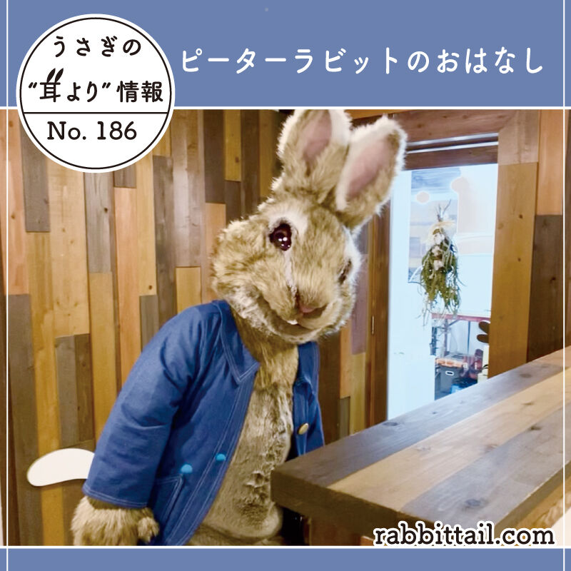 うさぎブログ うさぎのしっぽ公式ブログ 日々しっぽ うさぎの耳より情報 No 186 ピーターラビットのおはなし
