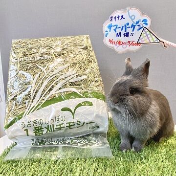 ����ʥ����ޡ��С�����