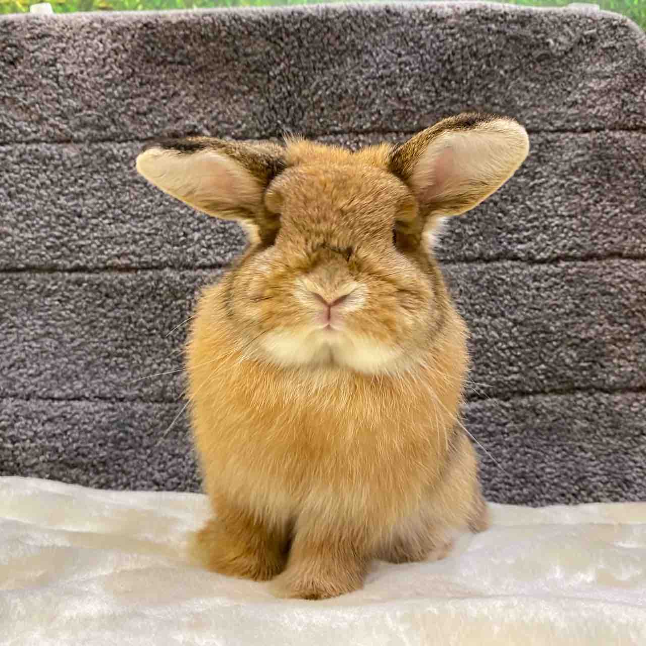 5taxzpw5kvxjnm 5taxzpw5kvxjnm