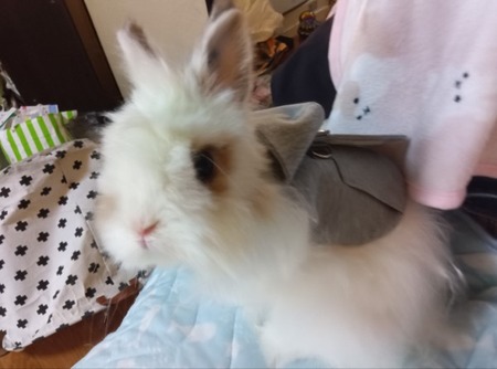 250125162215969_20250126084028