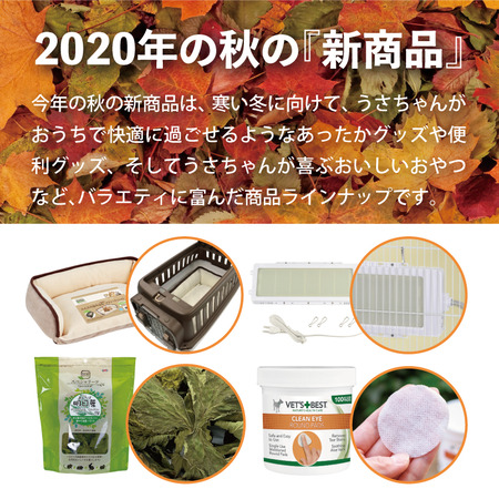 ブログバナー2020-11