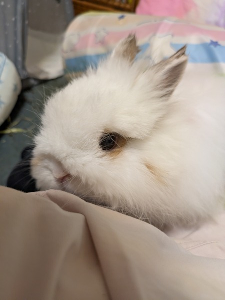 PXL_20250418_080622055