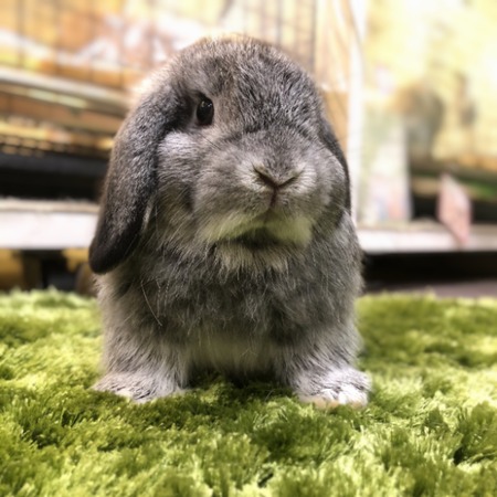 04A3D368-AEB8-435A-8AE9-4F6B7D00196C