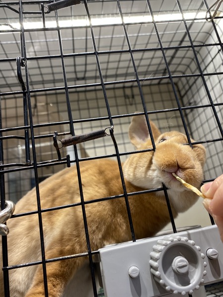 C7CA3FA5-73DB-4AC2-9AC1-47709A5984E9