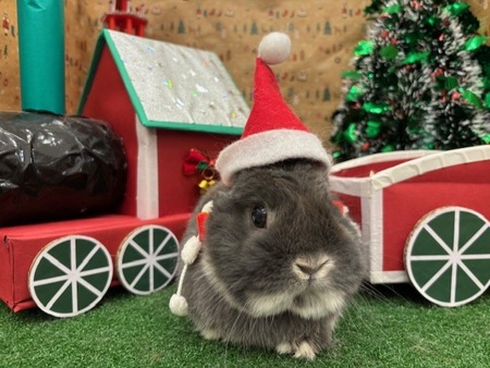 �����ɤ�