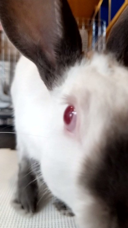 VideoCapture_20190625-130941