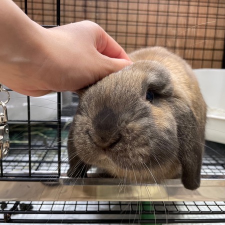 �ȡ�����1