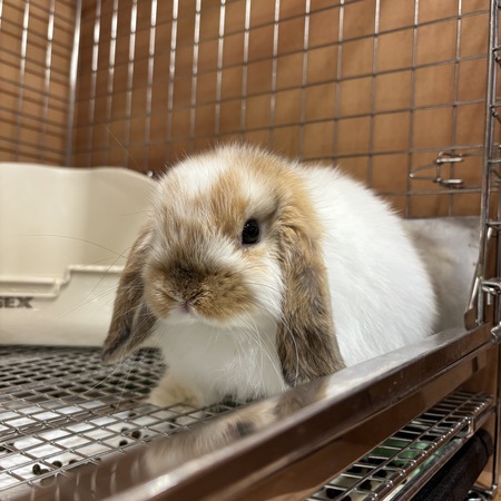 D3E4A11D-FA2E-4BF0-AE94-69FABB38BF7D