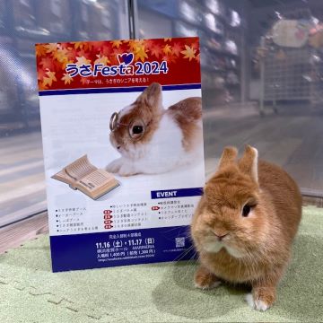 ブログ11月