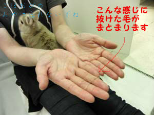 BlogPaint