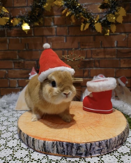 ECD427BB-35A2-4D6A-A76C-20B57C98D295