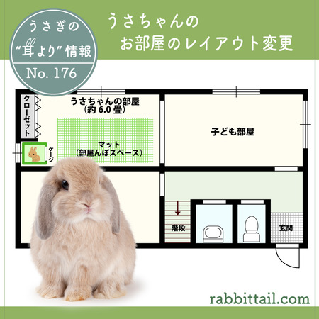 うさぎの耳より情報 No.176 うさちゃんのお部屋のレイアウト変更 