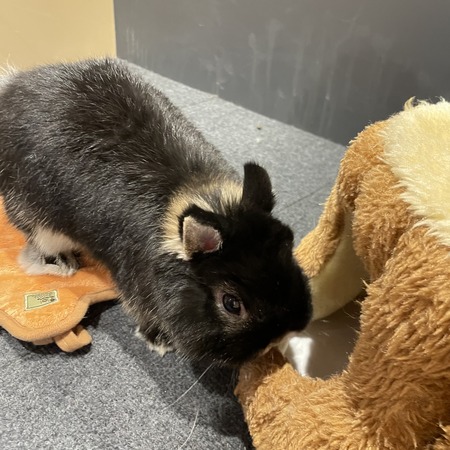 B460E96D-8697-46A7-90EA-1D4F7076555D