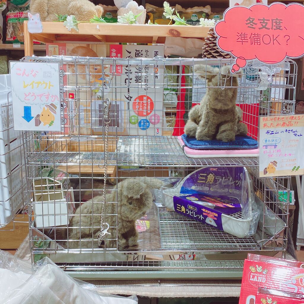 ケージアレンジいろいろ : うさぎブログ うさぎのしっぽ公式