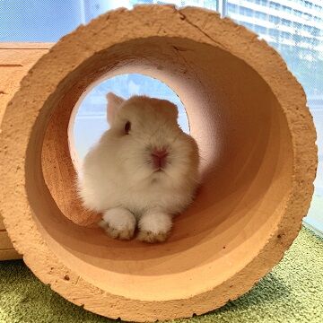 まったり