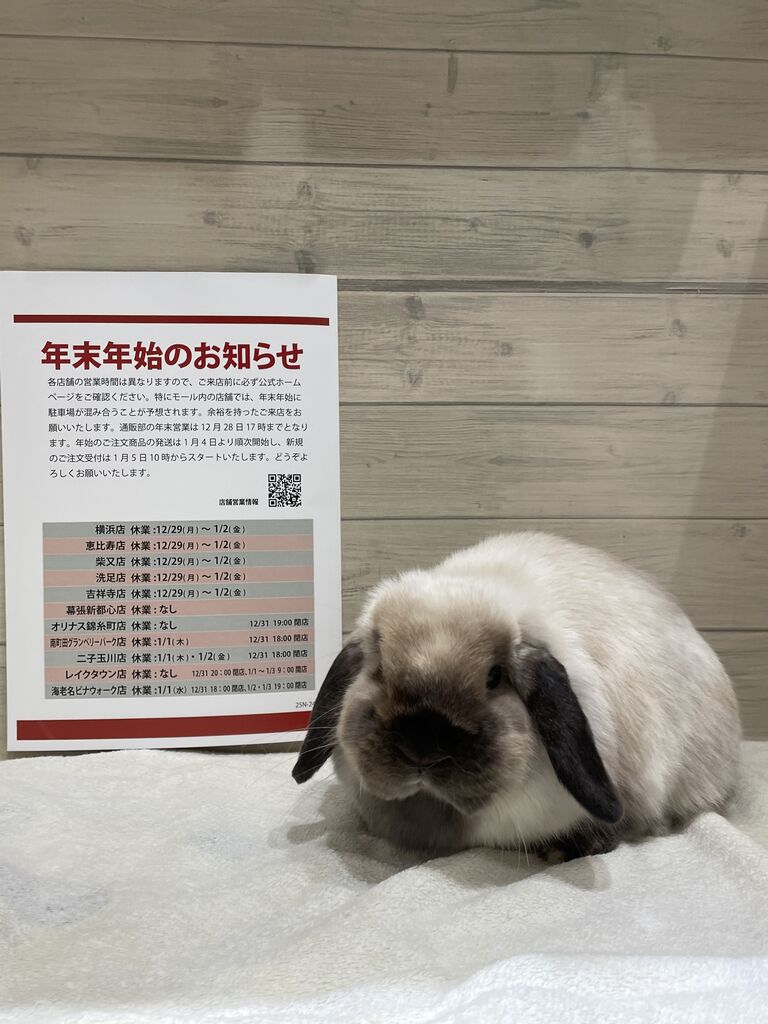 福袋情報！ : うさぎブログ うさぎのしっぽ公式ブログ「日々しっぽ」