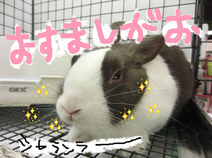 BlogPaint