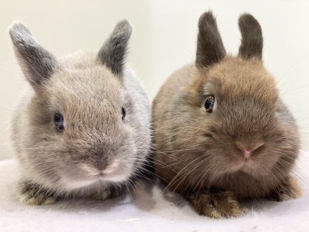 7FB5C6F4-C5C6-4D79-BAC2-1405783E2244