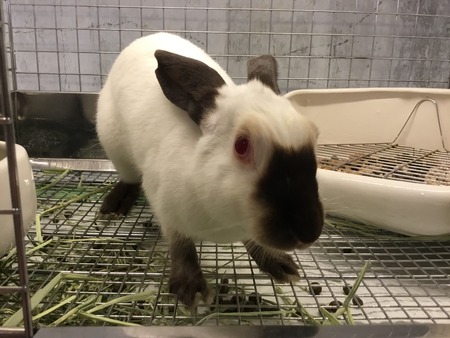 1C80A338-19B0-476D-886A-403C132DC94D