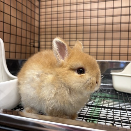 D0702FB1-DA93-46CA-BF4E-6F13605C61F3