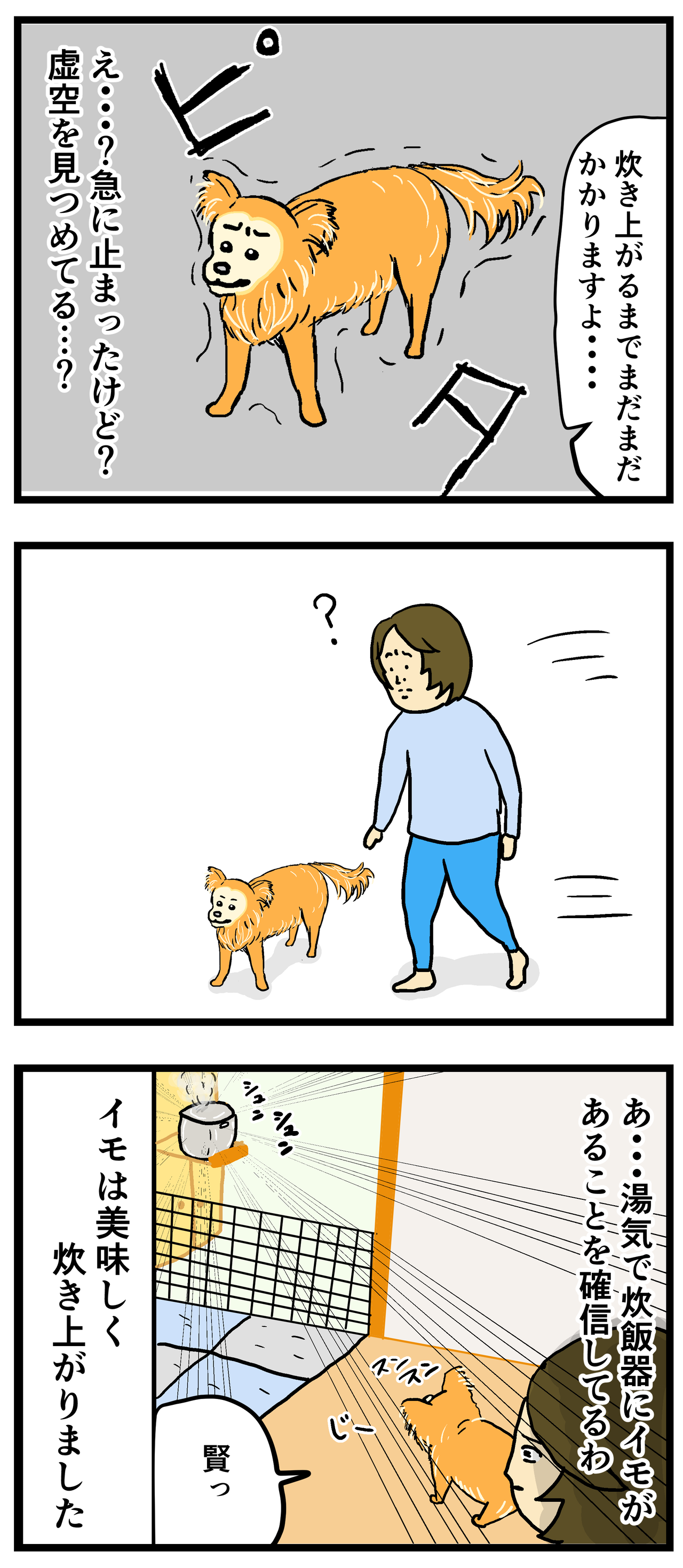 犬 ちょいと私の雑談でも