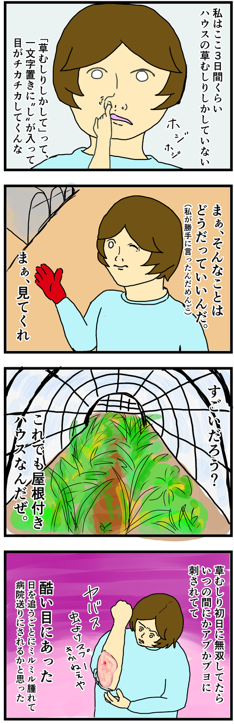 やぶ蚊バリア1