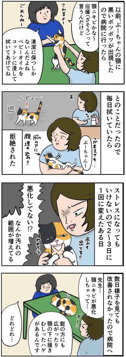 8032B36D-7EDD-437A-A9F8-62FEF589A44F