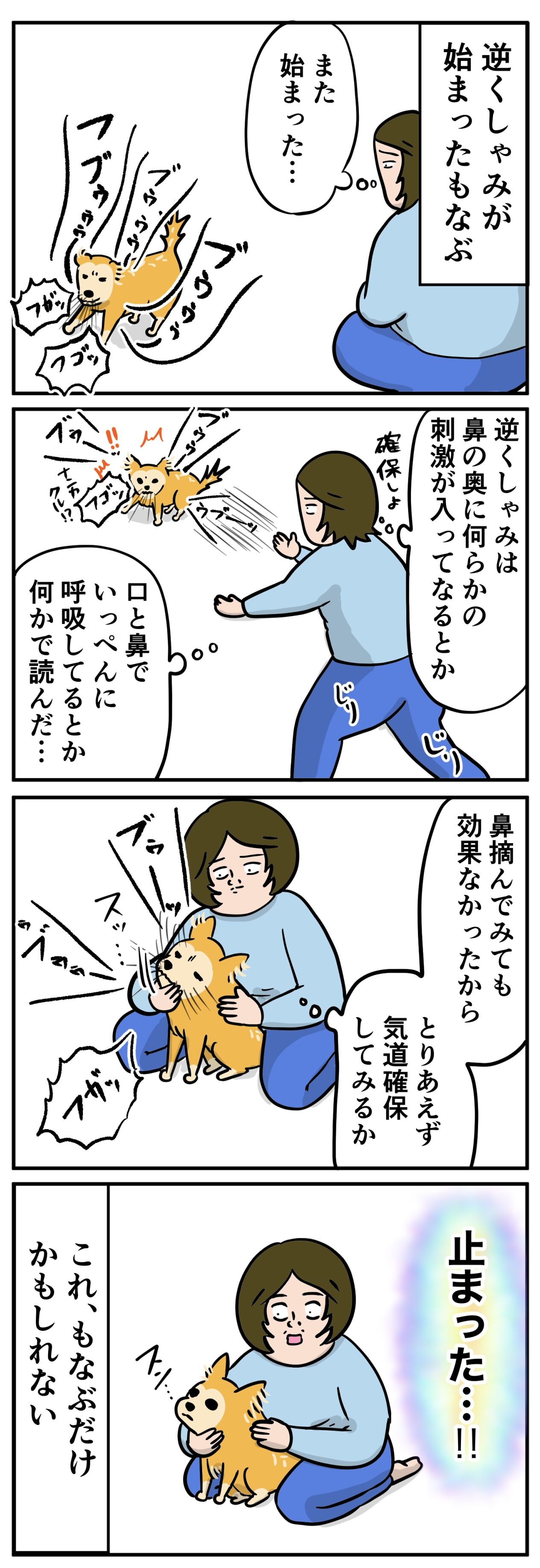 小型犬が我が家にやってきた話 番外編 逆くしゃみの止め方 ちょいと私の雑談でも