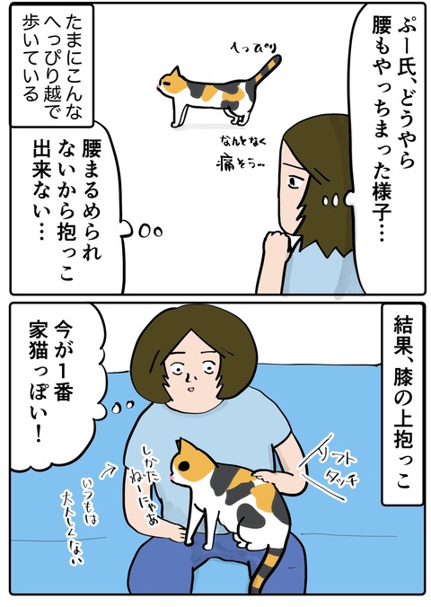 2F864B3E-216B-4170-9DE2-1B58578136A9