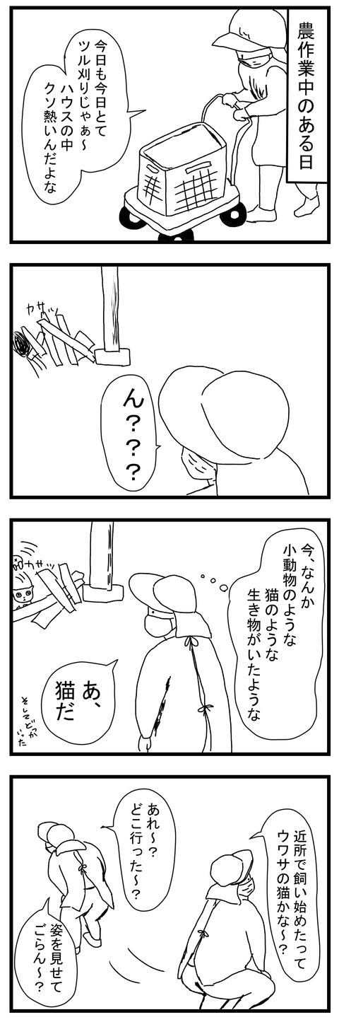 こけたぽてこ1