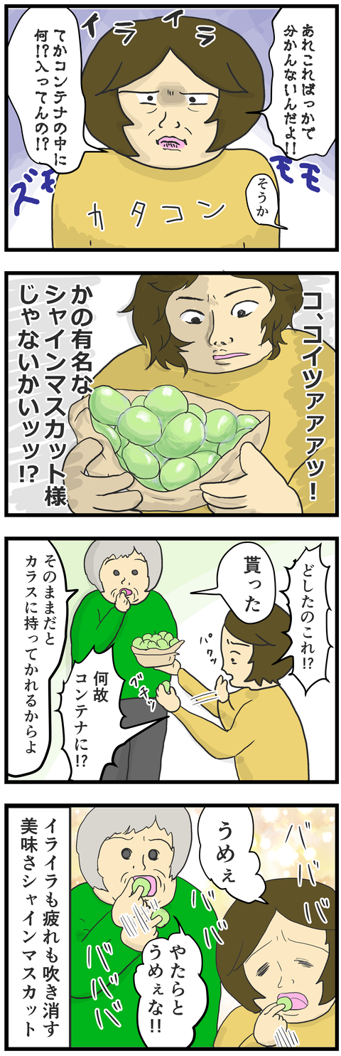 シャインマスカット2