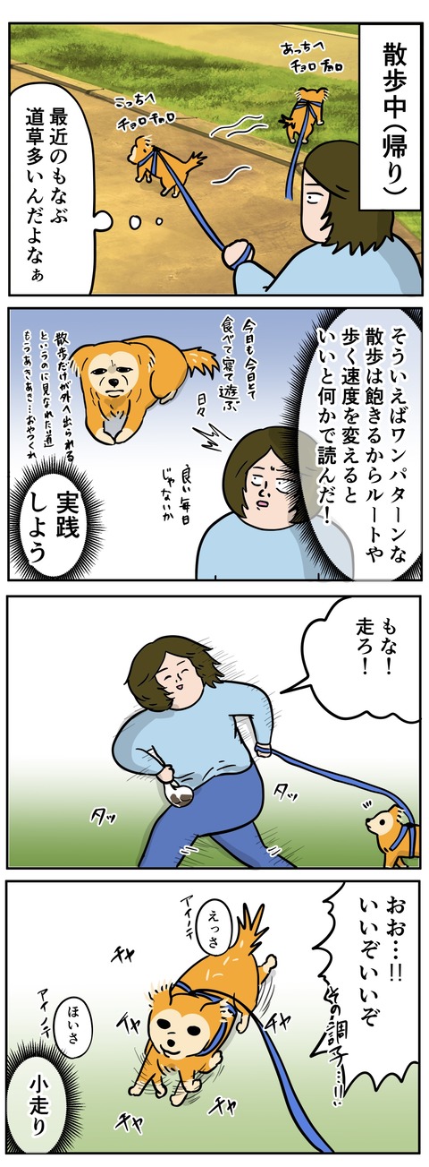 AF937746-083D-43E5-AB10-7AB5BEC764F6