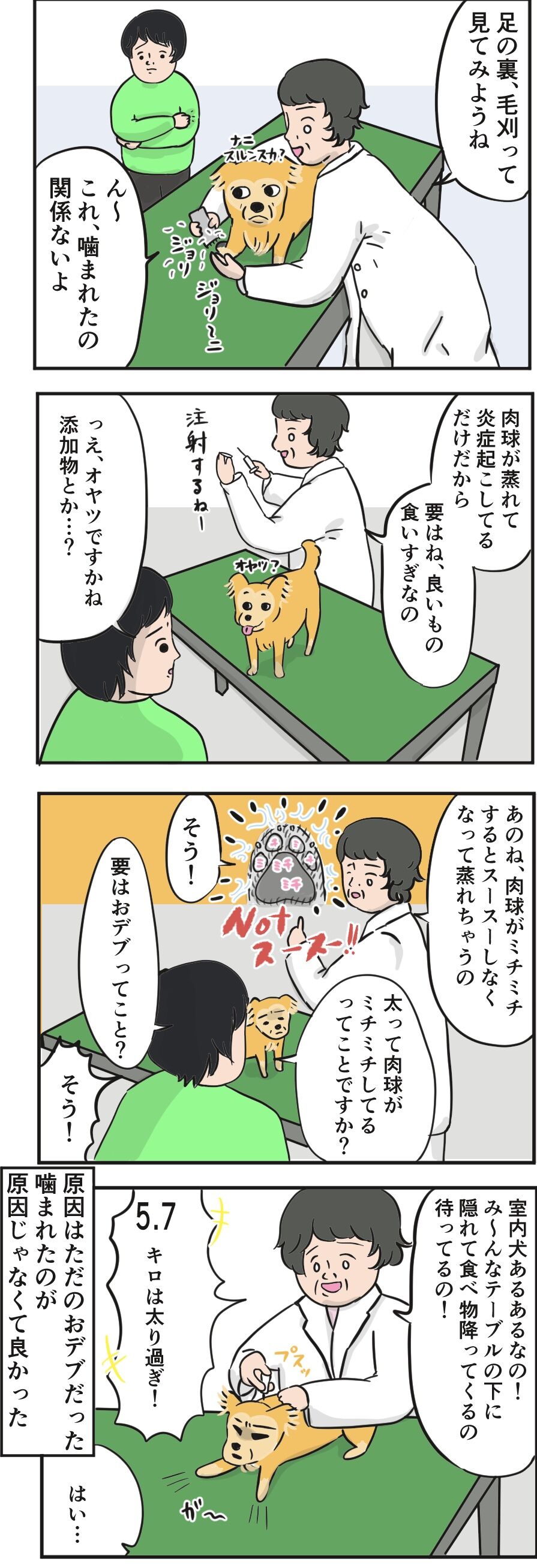 思いがけない襲撃とチミチミ ちょいと私の雑談でも