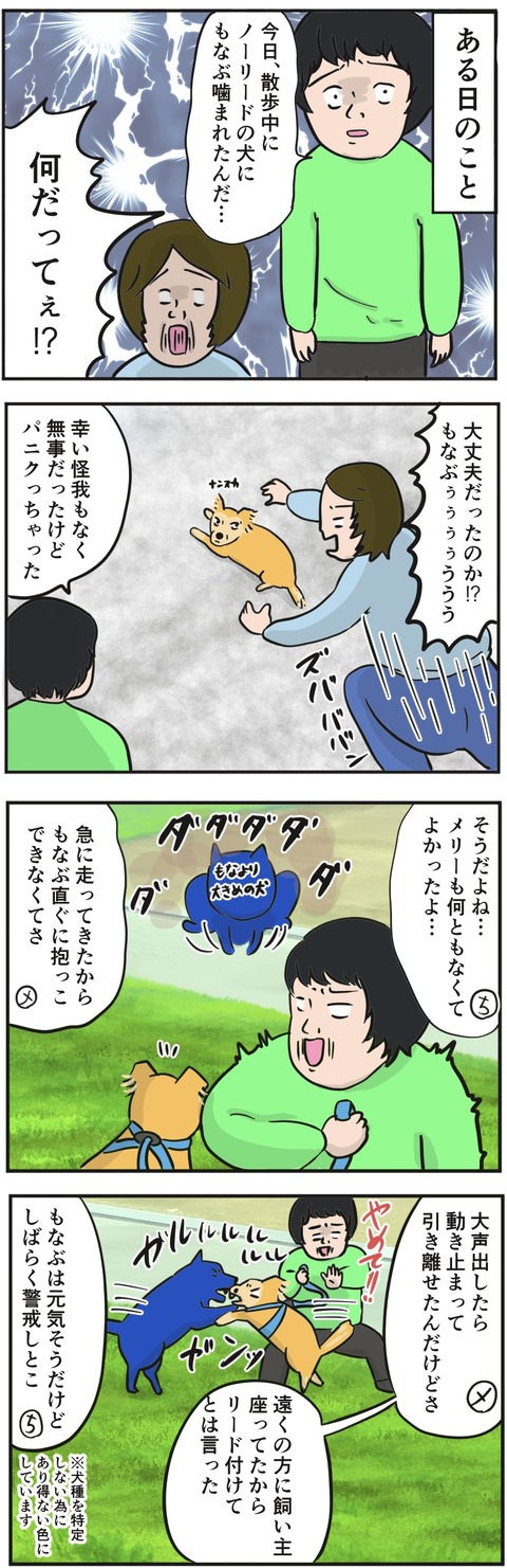 D4BA0B04-DED4-41F8-994D-7E331D42AFC3