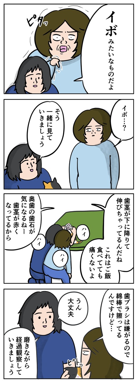 3C435258-D56F-44C0-9402-B9F3F0DEAFA8