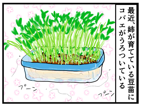 私の母が強引すぎる ちょいと私の雑談でも 私の母が強引すぎる ちょいと私の雑談でも