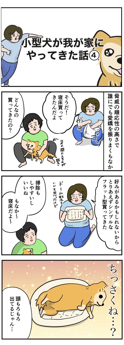 D8FDAE31-8689-4CCA-84FF-00E088095452