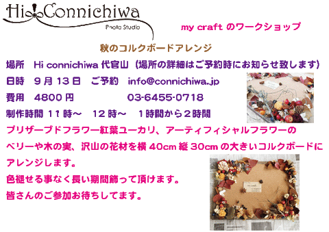 毎クラフト1