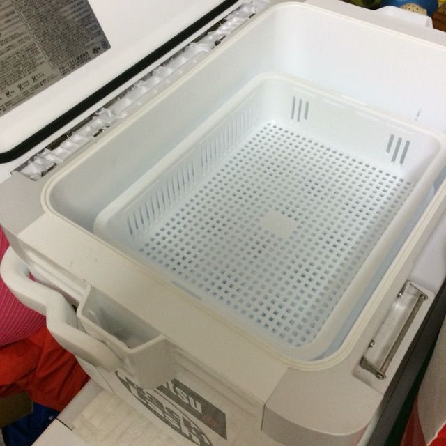 Newアイテム購入 イカのトレイ ひとり言 匠の船釣りトーク Newアイテム購入 イカのトレイ ひとり言 匠の船釣りトーク