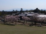 武蔵野