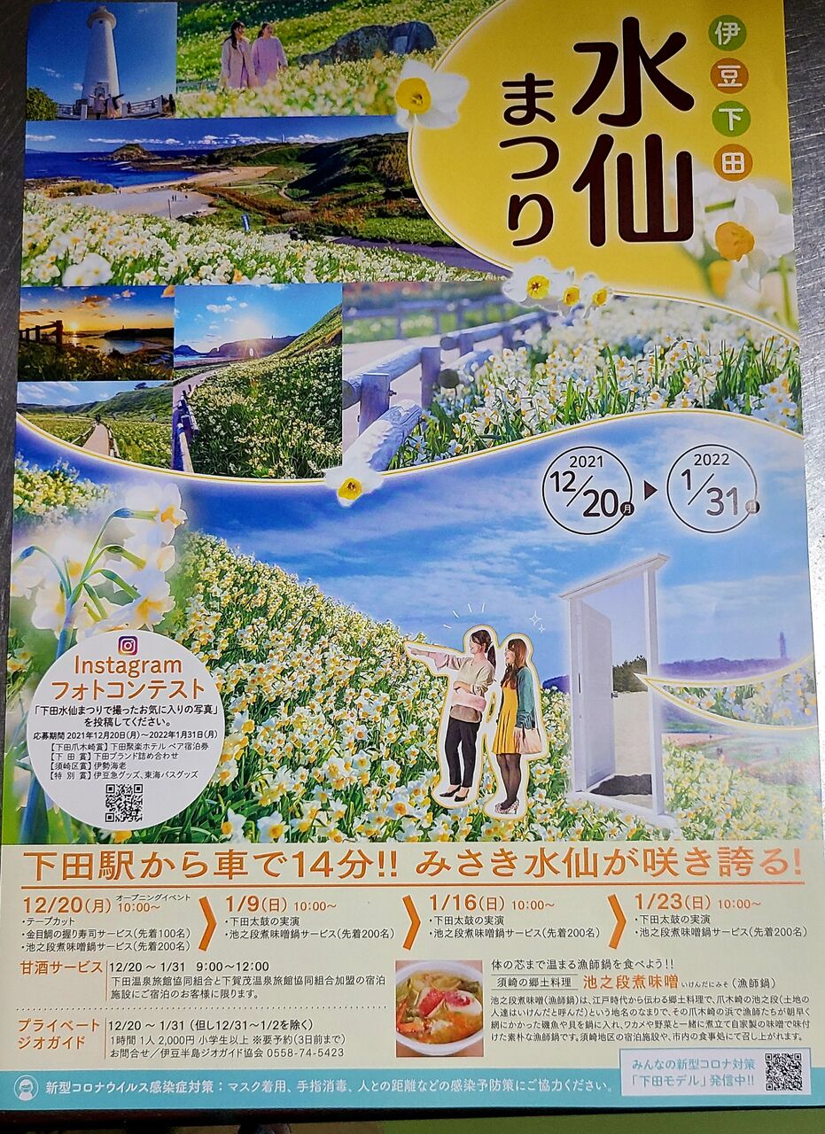 気温が低く 西風強めですが 天気は快晴 明日から下田須崎で爪木崎水仙まつり開催 ひなたぼっこ 伊豆だより 気温が低く 西風強めですが 天気は快晴 明日から下田須崎で爪木崎水仙まつり開催 ひなたぼっこ 伊豆だより