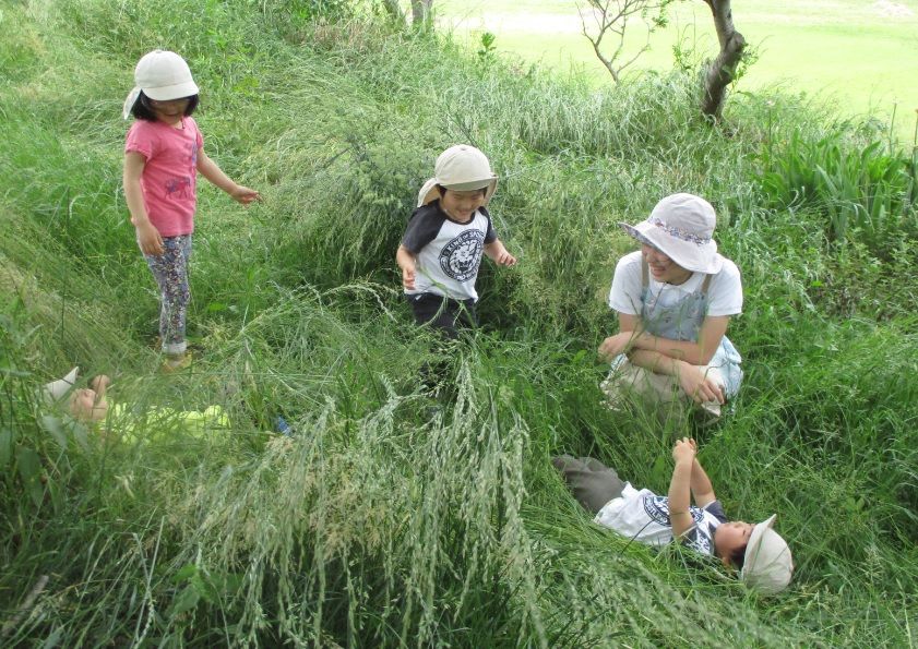 草むらとみんなの姿が幻想的 ひだまりおやこ園 旧 ひだまり保育園