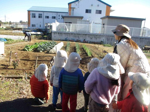 1226������7