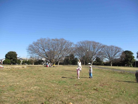 1226������5