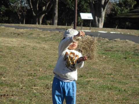 1226������3