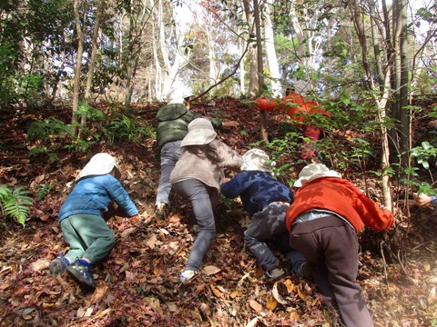 1227������5