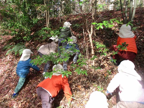 1227������4