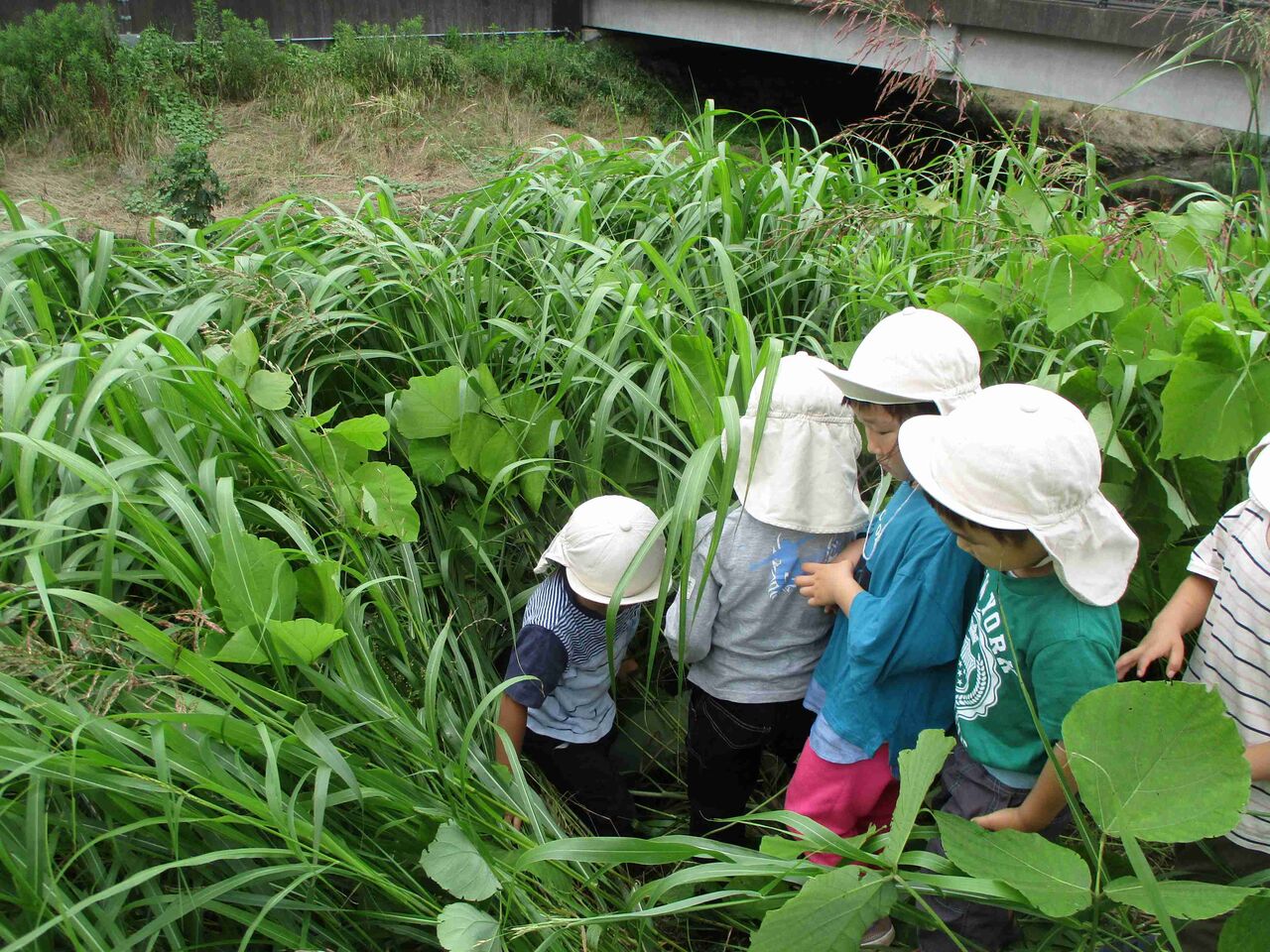 ひだまりの遊び アドリブで やっぱり面白い ひだまりおやこ園 旧 ひだまり保育園
