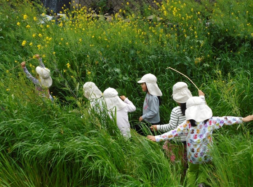 草むらの中の子どもたち 何とも素敵 ひだまりおやこ園 旧 ひだまり保育園